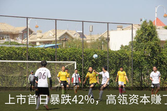 上市首日暴跌42%，高瓴资本赚了7个亿！麦科田答谢晚宴来了...